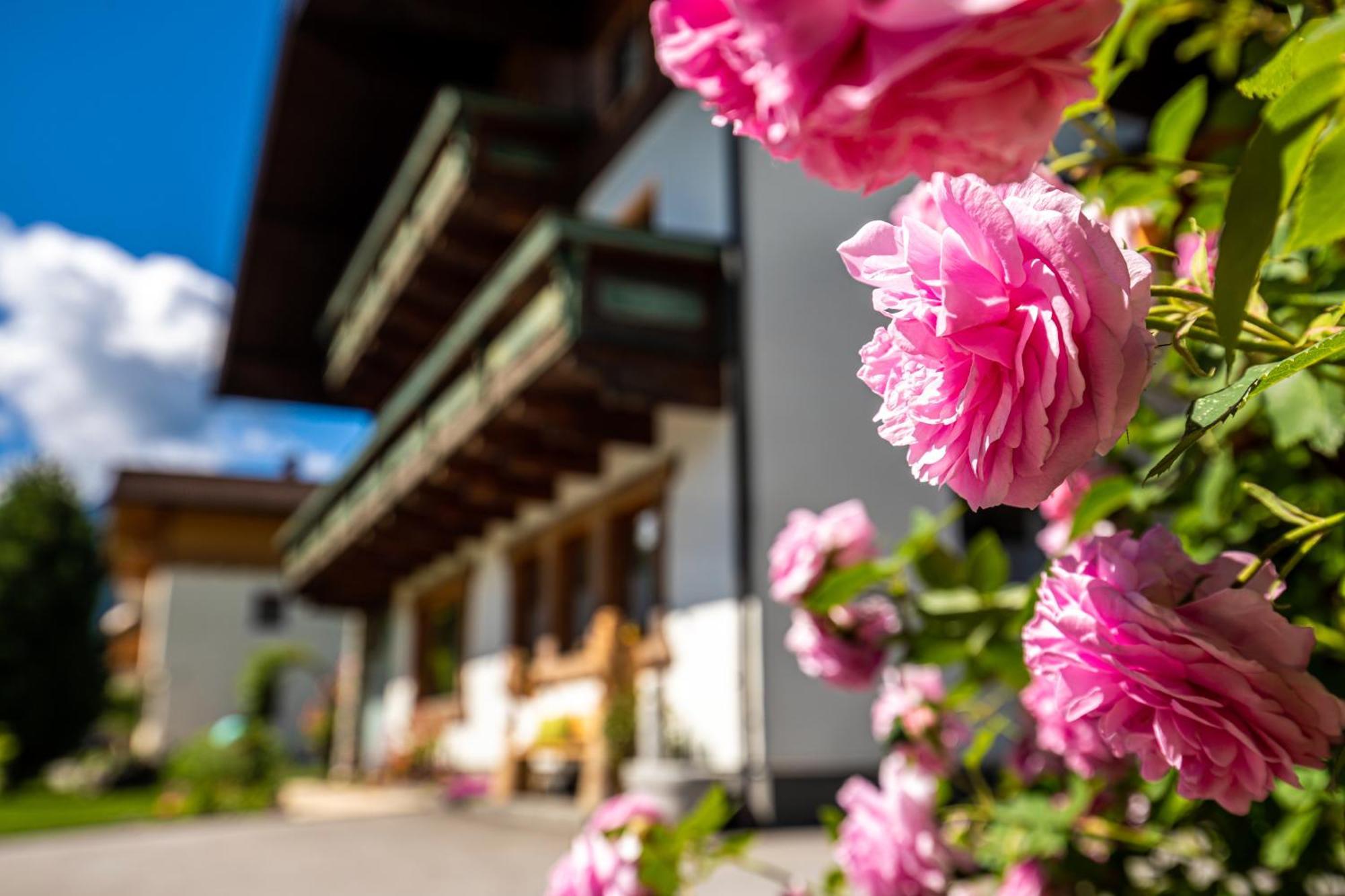 Holiday Im Gaestehaus Warter In Altenmarkt التنماركت ام بوناغ المظهر الخارجي الصورة