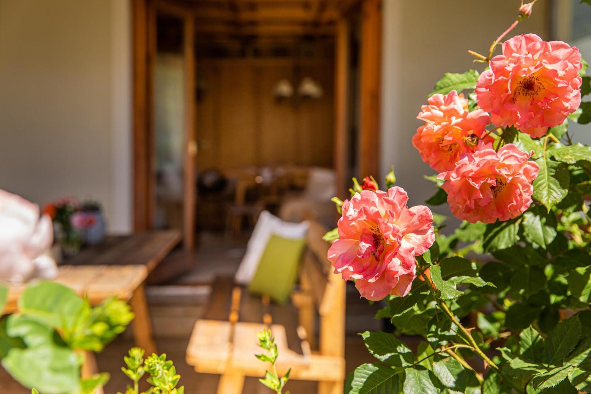 Holiday Im Gaestehaus Warter In Altenmarkt التنماركت ام بوناغ المظهر الخارجي الصورة